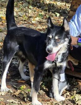 Gehorsame fürsorgliche sanfte VIOLA♥️ - München