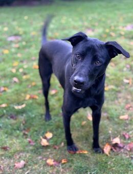 ❤️ Sunny Pflegefamilie 41812 Erkelenz - Kissing