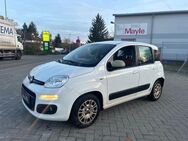 Fiat Panda 1.2l Lounge #120Tkm #Klima #Euro6 #1-Hand - Bad Dürrheim