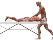 Kräftige regelmäßige bezahlbare Sport-, Muskelmassage gesucht in Bautzen - Bautzen