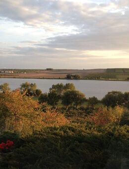 Einzigartiges Wochenendhaus am Süßen-See - Seegebiet Mansfelder Land