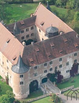 Historisches gepflegtes Juwel mit Seltenheitswert in traumhafter Kulisse! - Burghaslach