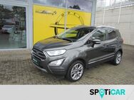 Ford EcoSport, Titanium X Winterpaket, Jahr 2018 - Warburg (Hansestadt)