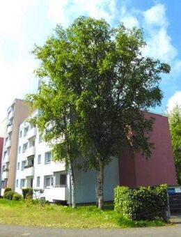 Günstiges Senioren-Apartment (WBS) Seniorenwohnung - Bergheim (Nordrhein-Westfalen)