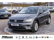 VW Tiguan, 2.0 TDI PC LANE, Jahr 2017 - Pohlheim