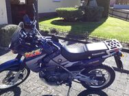 Motorrad Enduro Kawasaki KLE 500 - Pfullendorf