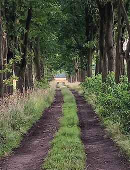 Attraktiver Akademiker - Flensburg