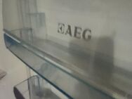 AEG SANTO SKS98800C4 Kühlschrank A+++ - Stuttgart