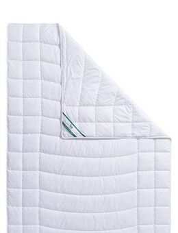 fan Microfaserbettdecke Warmmax, kuscheliges Schlafgefühl, kochfeste Qualität