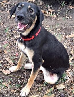 Sandy sucht ihre Familie - Weilheim (Oberbayern)