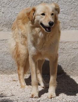 Margo - Bad Vilbel