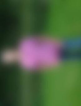 Sie*** - Wallersdorf