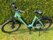 Winora Sinus R8 Eco - Mühlhausen (Thüringen)