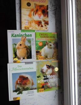 Kaninchen Zwergkaninchen Meerschweinchen Hamster Gräfe und Unzer GU Tier-Ratgeber 5 Bücher zus. 7,- - Flensburg
