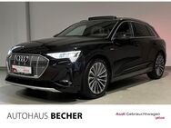 Audi e-tron, 50 quattro S-line, Jahr 2020 - Wesel