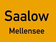 Großes Baugrundstück in Saalow Mellensee für 6 EFH o. 10 Doppelhäser - Am Mellensee
