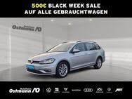 VW Golf Variant, 1.6 TDI Golf VII Comfortline, Jahr 2020 - Bad Arolsen