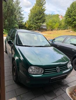 VW Golf 4 Schlachtfest - Bad Münder (Deister)