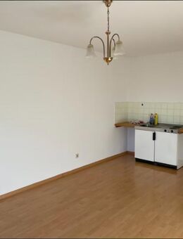 Renovierte 1-Zimmer-Wohnung in Frankfurt-Nied - direkt vom Eigentümer! [HMR-O09E07] - Frankfurt (Main)