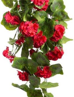 Kunstblume Geranienhängebusch Geranie, Botanic-Haus, Höhe 60 cm