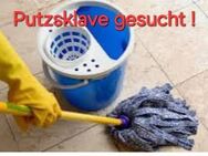 Putzsklave gesucht !!! - Singen (Hohentwiel)