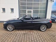 BMW 218 i Cabrio Leder/Navi/Xenon/Garantie/Sportsitze - Heidenheim (Brenz)