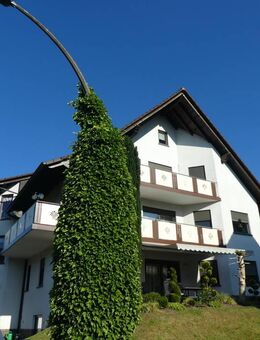 Traumhafte, großzügige Wohnung mit eigenem Garten - modern und liebevoll wohnen in Heigenbrücken! - Heigenbrücken