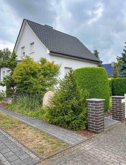 Tolles Haus auf RIESIGEM Grundstück - Swimmingpool - schneller Bezug möglich - Kloster Lehnin