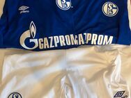 Schalke Trikots/Jacke - Gelsenkirchen