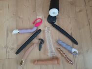 Toy Sammlung abzugeben / Vibrator / Dildo / Plug usw - Dietmannsried