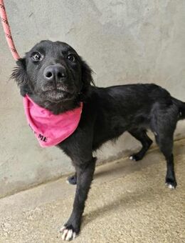 Süße Paola - Eichenzell