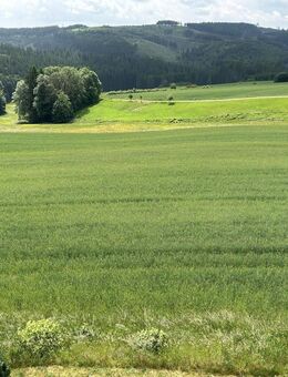 Penthouse-Wohnung - Wohnen Sie mit Naturblick ;-) - Schwarzenbach (Wald)