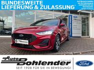 Ford Focus, , Jahr 2023 - Kandel