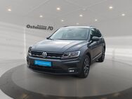 VW Tiguan, 1.5 TSI Comfortline FLA, Jahr 2019 - Fritzlar