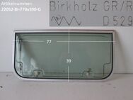 Wohnwagenfenster Birkholz GR/R D529 ca 77 x 39, Fendt / Tabbert, - Schotten Zentrum