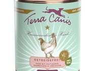 Sparpaket Terra Canis getreidefrei 12 x 800 g - Huhn mit Pastinaken, Löwenzahn und Brombeeren