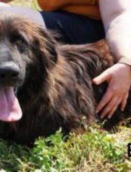 Bubs Zu zweit ist man nicht mehr... - Kissing