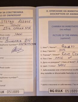 Katya tomov - Sankt Augustin Zentrum