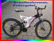 26” Zoll Fahrrad Mountainbike-MTB. FAHRBEREIT -Scheibenbremse, Federgabel, Stoßdämpfer mittige Aufhängung. -21 Gang- -Dreh-Schaltung,  MTB. - Frankfurt (Main) Unterliederbach