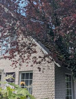 Einfamilienhaus mit Einliegerwohnung in Faßberg zu verkaufen! - Faßberg