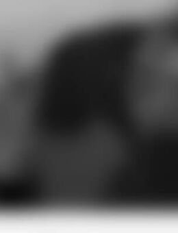 Son*** - Wolmirstedt Farsleben