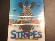 Stripes - Ein Zebra im Rennstall von Frederik Du Chau | DVD - Essen
