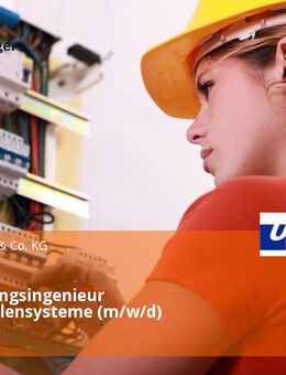 Entwicklungsingenieur Wirbelsäulensysteme (m/w/d) - Ulm
