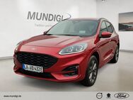 Ford Kuga, ST-Line X, Jahr 2024 - Landshut