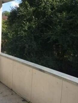 Frisch renoviert! Klasse 3-Zimmer-Wohnung mit Balkon! - Essen