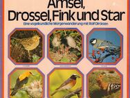 12'' LP Vinyl AMSEL, DROSSEL, FINK UND STAR Eine vogelkundliche Morgenwanderung - Zeuthen