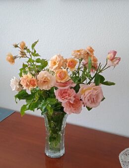 Ich suche neue Freunde - Dingolfing