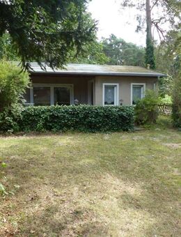 Idyllisches Wochenendgrundstück mit Bungalow in der Dahlener Heide - Ihr Rückzugsort inmitten der Natur - Dahlen