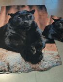 div. Bettwäsche-Sets zu verkaufen in 29664