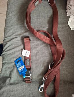 Hundehalsband und Leine - Mönchengladbach